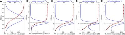 A Novel Measurement-Based Model for Calculating Diffusive Fluxes Across Substrate-Water Interfaces of Marine Aggregates, Sediments and Biofilms